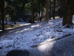 2012_0218��ƻ����0007