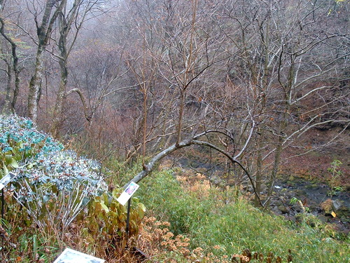 2006_1209�ս���Ȣ��20101