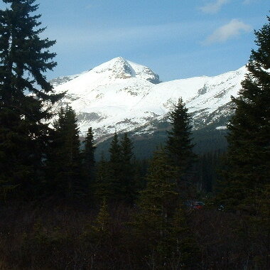 2005_1024�Σ�30090