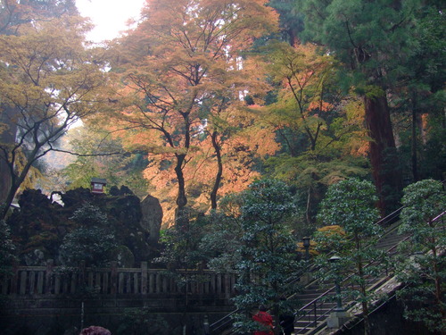 2007_1202¹ä»Ë¾»»Òº§Ìó0082