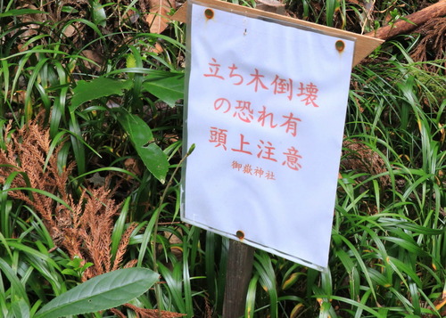 IMG_1256(1)
