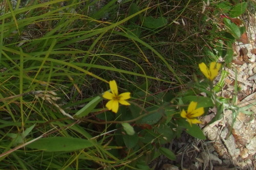 2006_0808�򺬻�0042