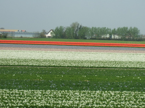 2007_0417オランダ0564