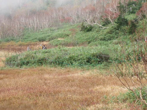 2007_1017��������0167