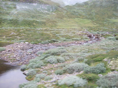 2009_0807北欧FINEPIX0154