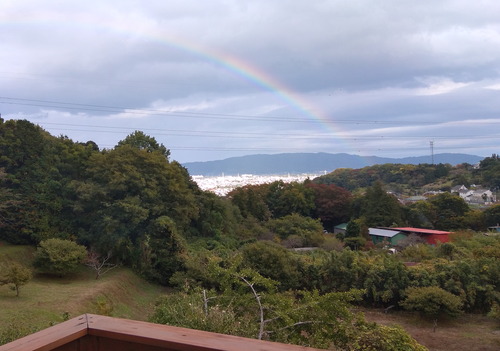 IMG_20201107_141934-1