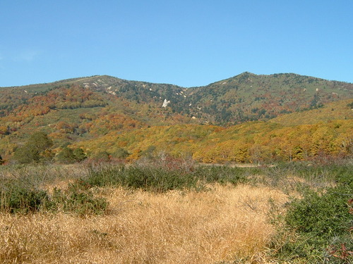 DSCF0036