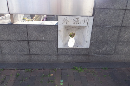 DSCF5387