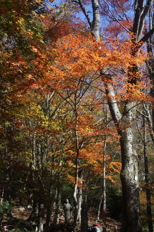 IMG_1889����