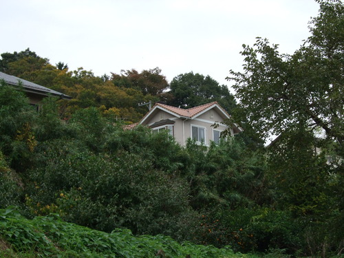 2007_1103¾®Åĸ¶ÈͶ10004