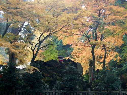 2007_1202¹ä»Ë¾»»Òº§Ìó0084