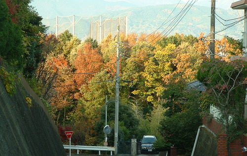 2007_1202Ƴλºµ¢¤êGH0050