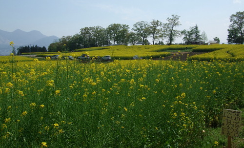 2007_0509¿®½£0136