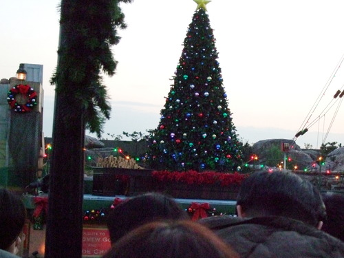 2007_1211�ǥ��ˡ�����0030