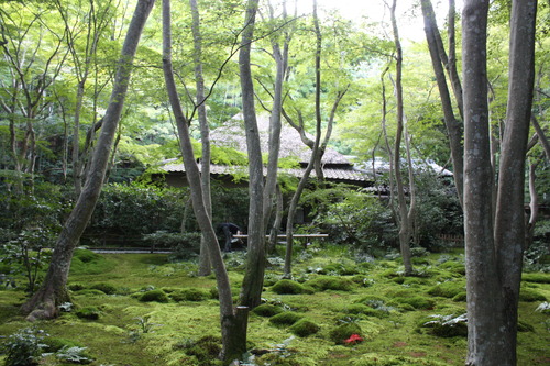 IMG_1210 - ¥³¥Ô¡¼