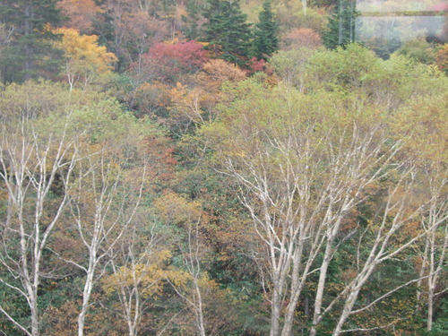 2007_1017��������0122