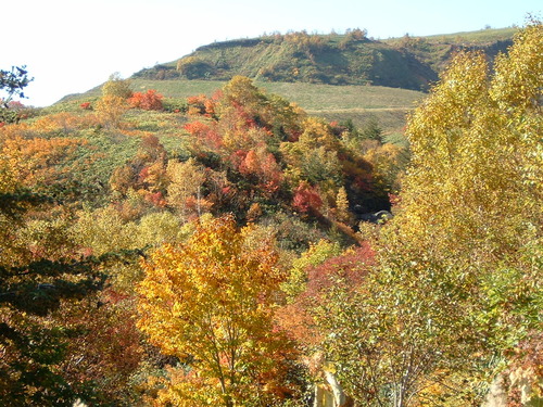 DSCF0011