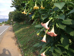 2009_1012�ε�0003