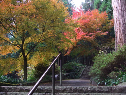 2007_1202¹ä»Ë¾»»Òº§Ìó0049