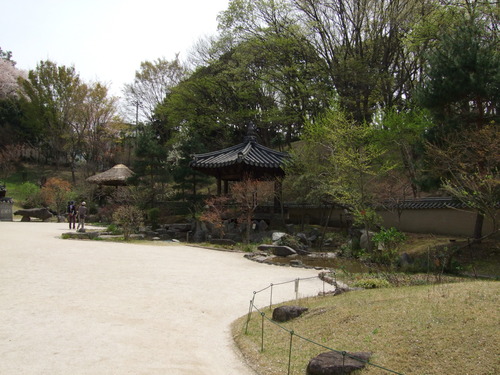 2008_0405三つ池のさくら0035