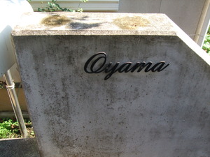 2011_1127����20004