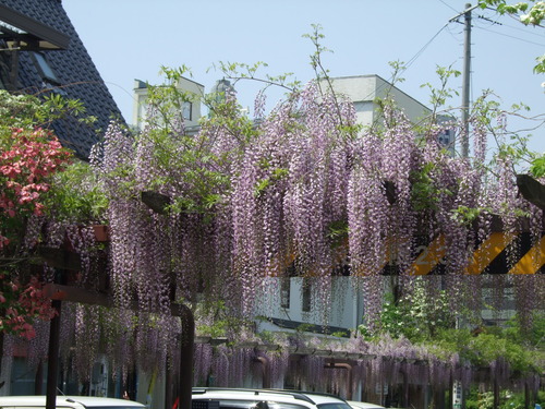 2007_0509¿®½£0230