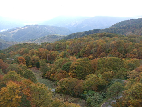 2007_1017��������0199