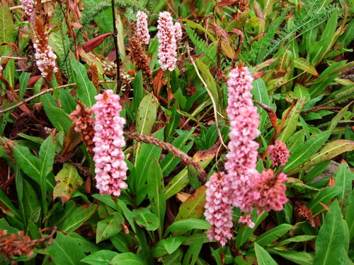 2007_0924��ʸ����������0116