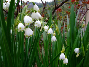 2010_0328�٥륿���פβ�0005