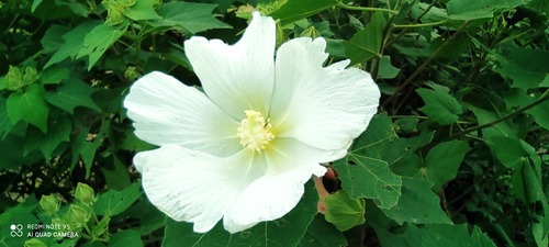 IMG_20200918_103231