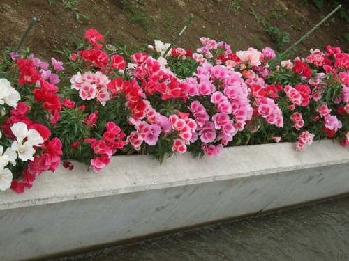 2011_0609³«À®Ä®ÃµË¬0030