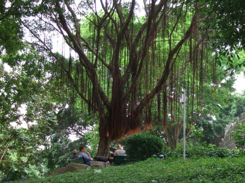 2008_0508����ޥ���0127