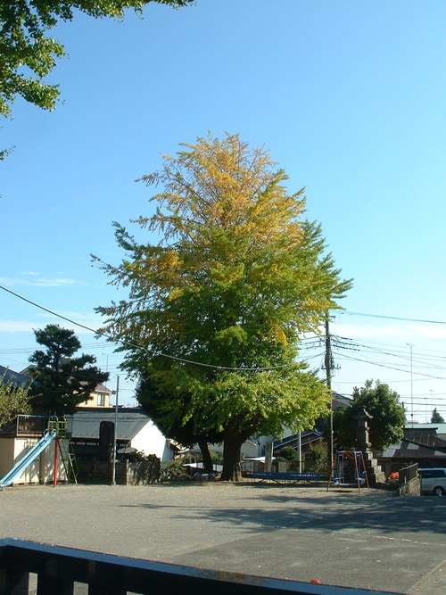 2007_1004¾®Åĸ¶ÈͶ£²0049