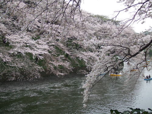 2008_0402H19��0118