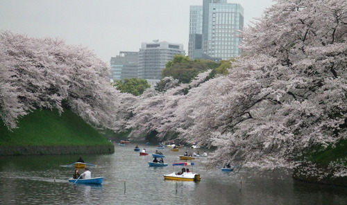 2008_0402H19��0113