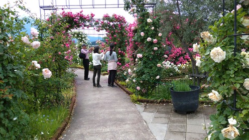 IMG_20220616_111002