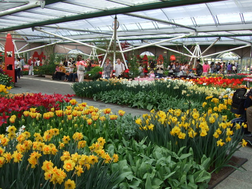 2007_0417オランダ0607