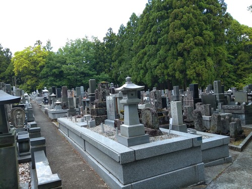 IMG_20200512_161659_BEAUTY