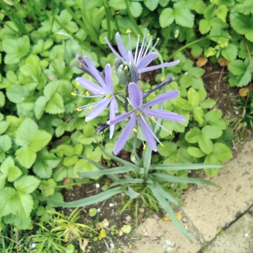 ���ޥå�������ҥȥ�ˡ���