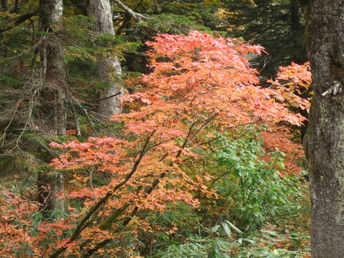 2007_1017��������0116