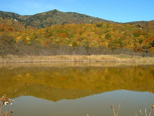 DSCF0025