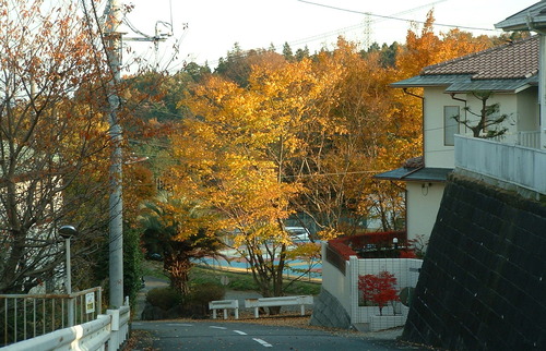 2007_1202Ƴλºµ¢¤êGH0051