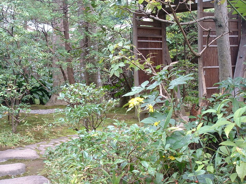 2007_1004¾®Åĸ¶ÈͶ£²0001