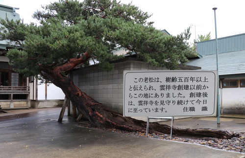 IMG_1327�쥤�䡼����