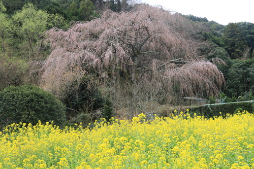 IMG_1214(1)