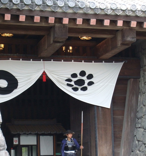 2008_0423熊本0060