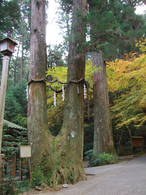 2007_1202¹ä»Ë¾»»Òº§Ìó0059