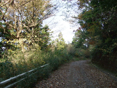 2007_1202¹ä»Ë¾»»Òº§Ìó0143