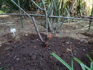 2010_0119�Ф��?Ȣ0003