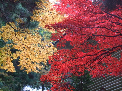 2007_1202¹ä»Ë¾»»Òº§Ìó0067